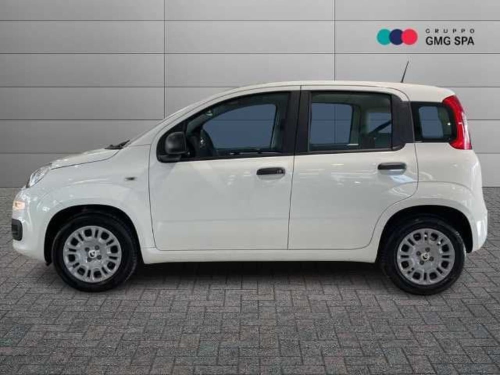 Fiat Panda Cross usata a Pistoia (5)