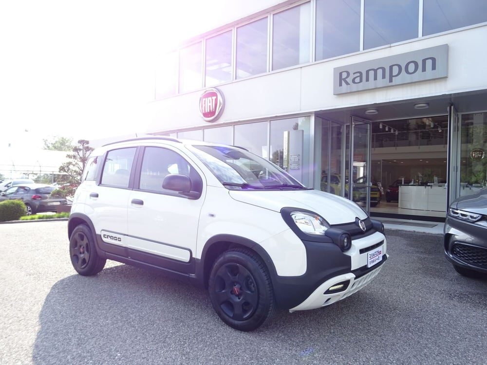 Fiat Panda usata a Venezia (6)