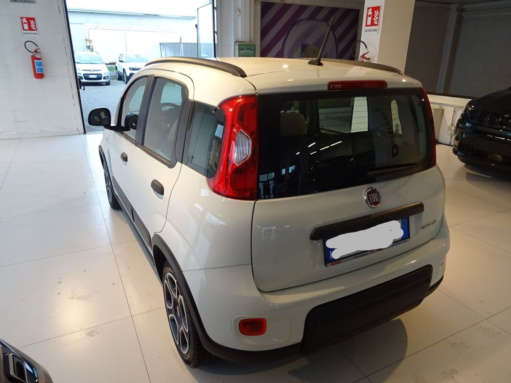 Fiat Panda usata a Lucca (3)