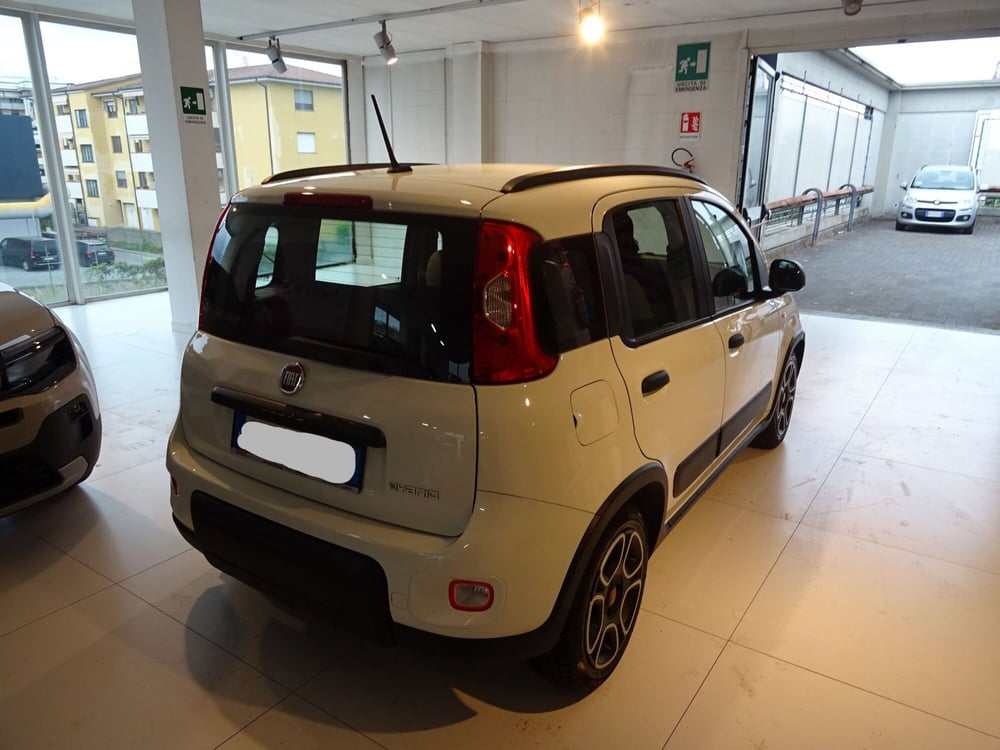 Fiat Panda usata a Lucca (4)