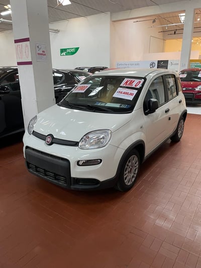 Fiat Panda Cross Cross 1.0 FireFly S&amp;S Hybrid nuova a Altopascio