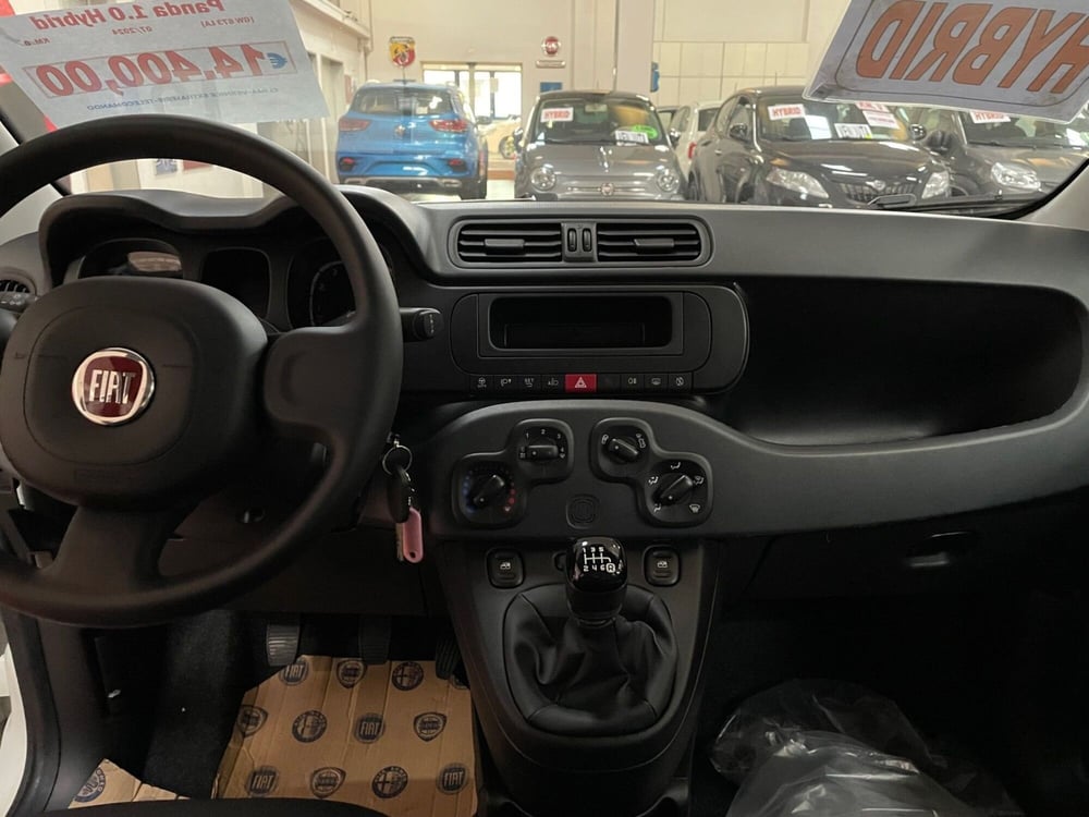 Fiat Panda Cross nuova a Lucca (10)