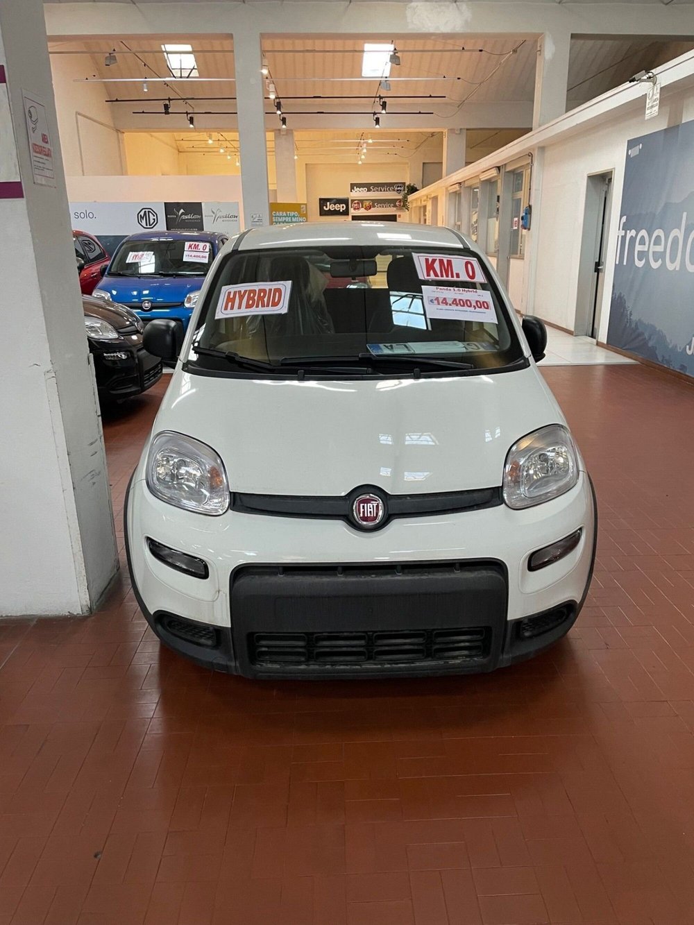 Fiat Panda Cross nuova a Lucca (2)