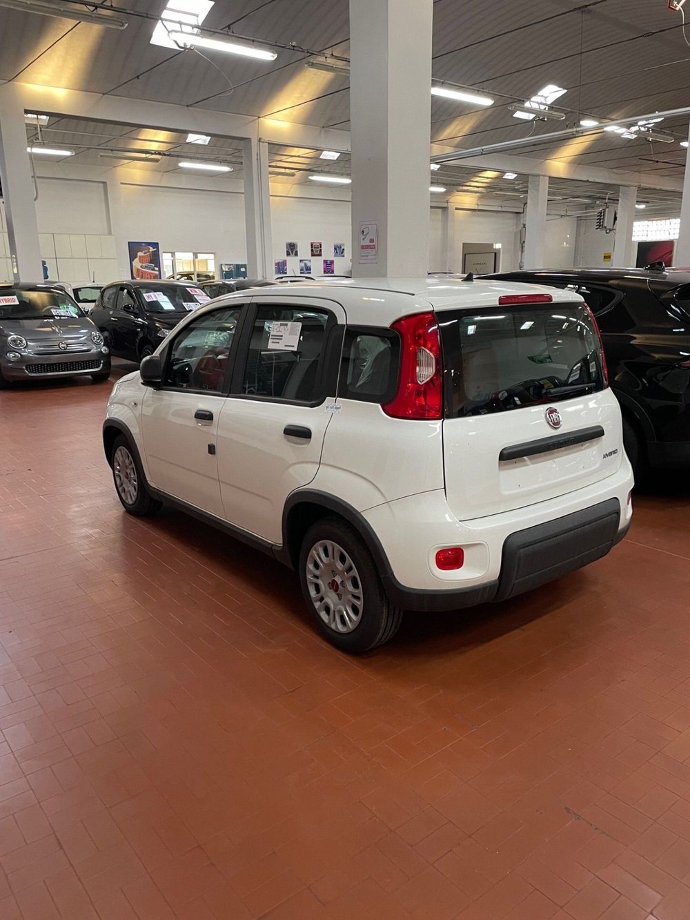 Fiat Panda Cross nuova a Lucca (4)