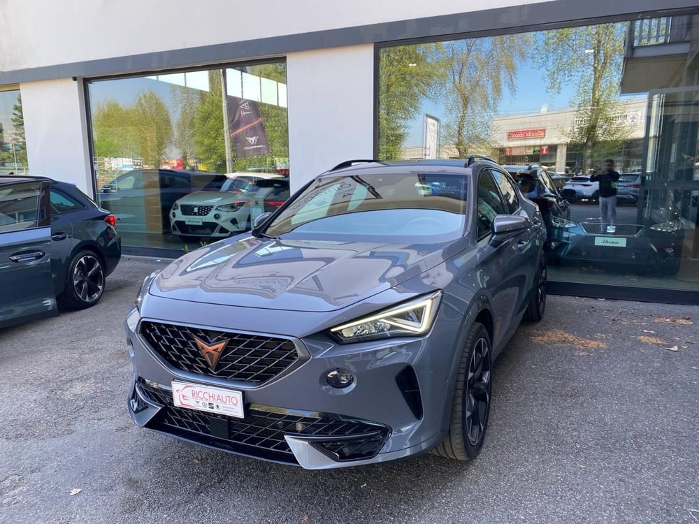 Cupra Formentor usata a Monza e Brianza (2)