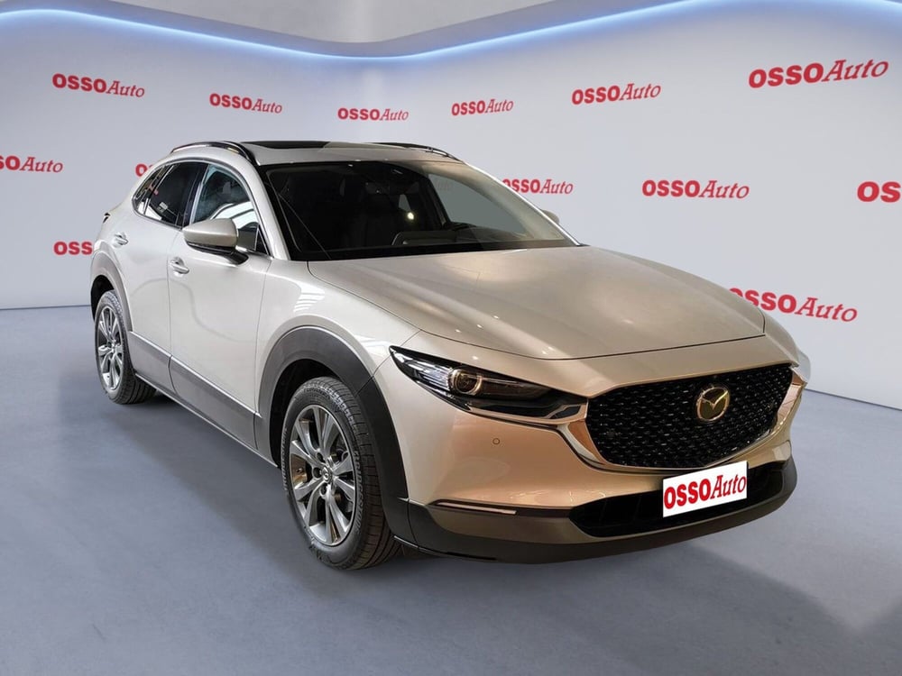 Mazda CX-30 usata a Udine (2)
