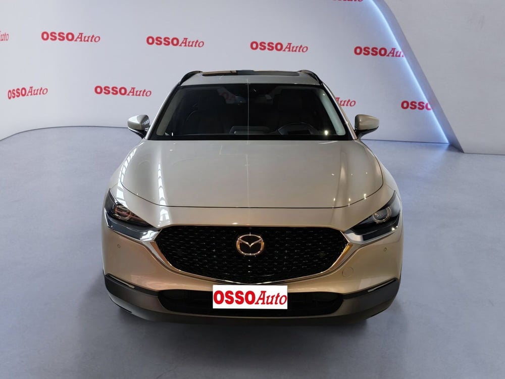 Mazda CX-30 usata a Udine (5)