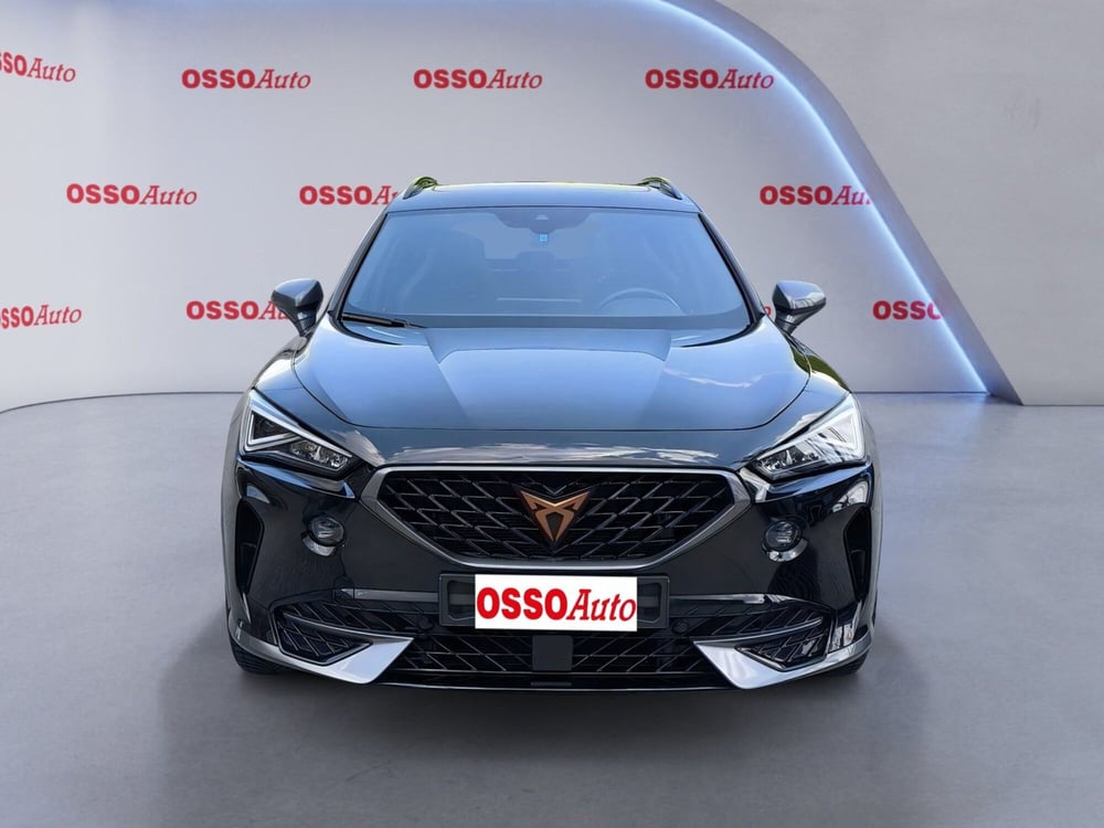 Cupra Formentor usata a Udine (5)