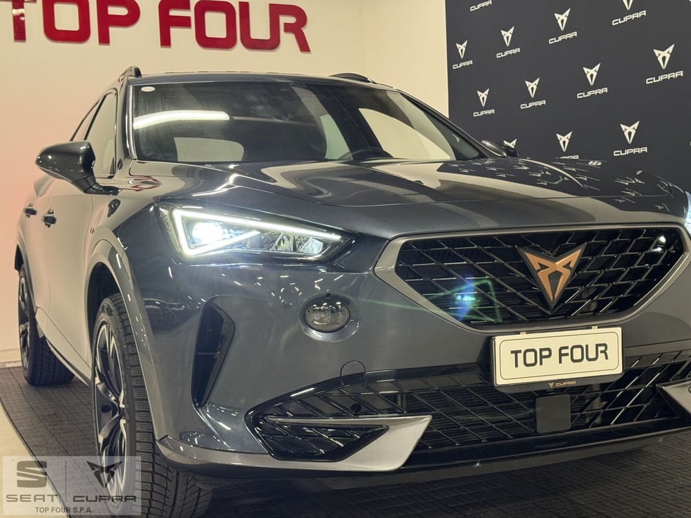 Cupra Formentor usata a Cuneo (9)