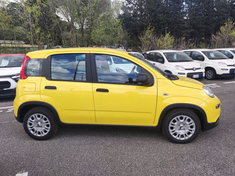 Fiat Panda nuova a Roma (6)