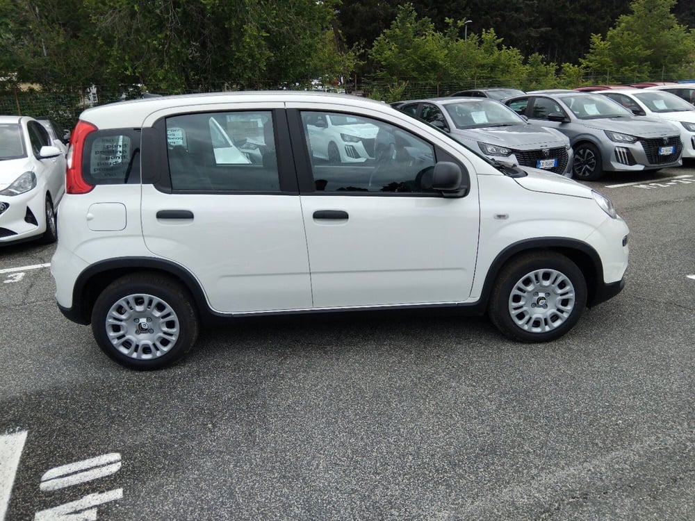 Fiat Panda nuova a Roma (6)