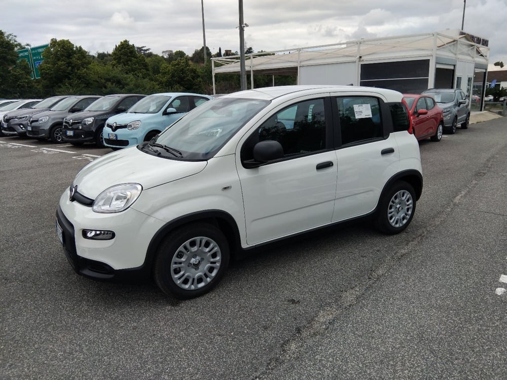 Fiat Panda nuova a Roma (8)