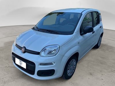 Fiat Panda 1.0 firefly hybrid s&amp;s 70cv 5p.ti nuova a Settala