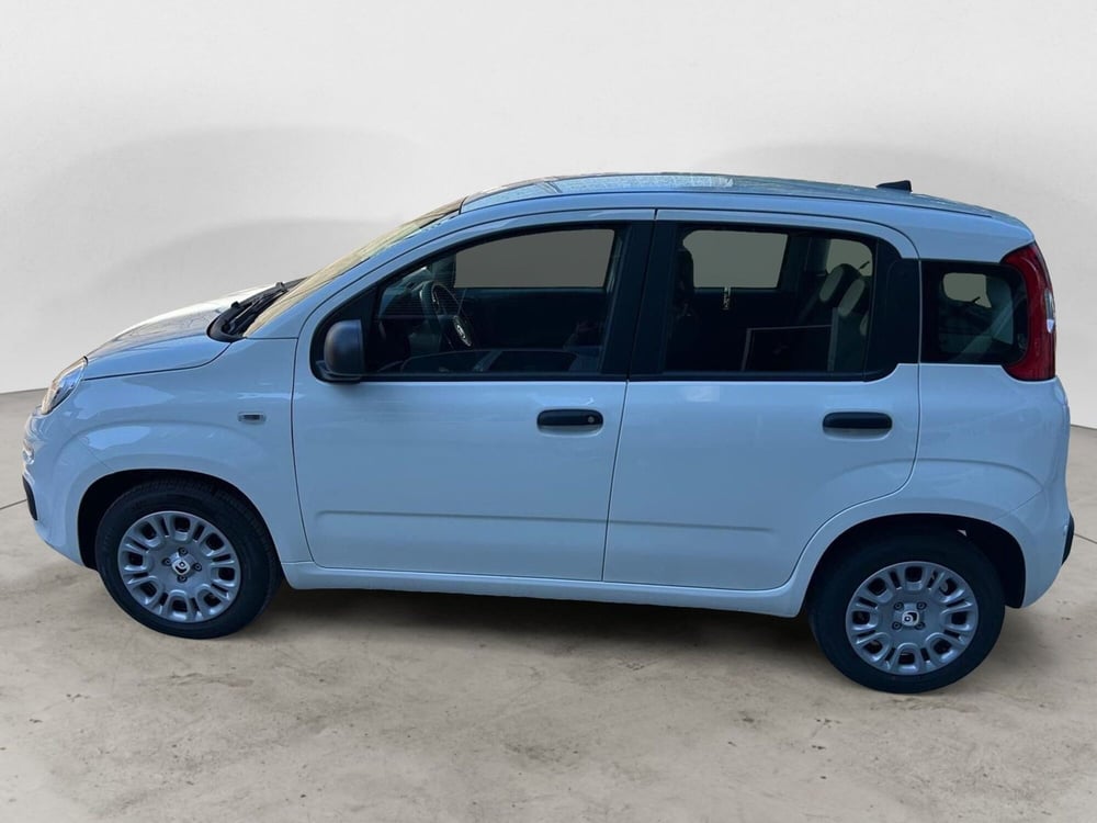 Fiat Panda nuova a Milano (2)