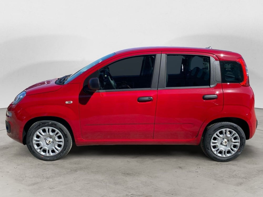Fiat Panda nuova a Milano (2)