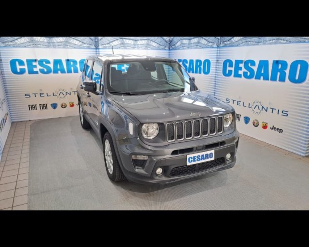 Jeep Renegade usata a Aosta