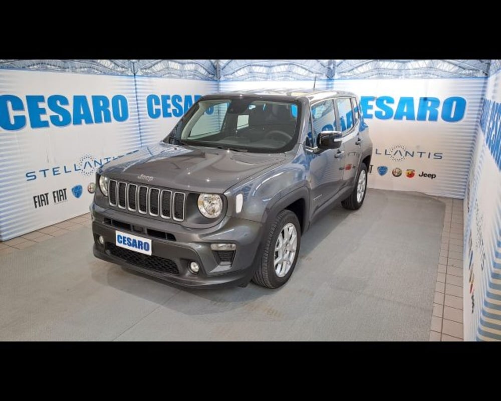 Jeep Renegade usata a Aosta (2)