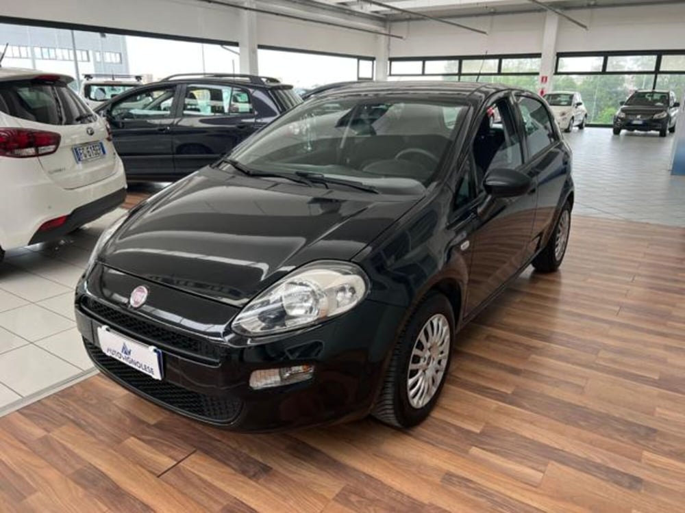 Fiat Punto usata a Modena