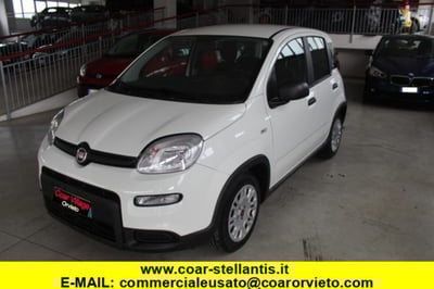 Fiat Panda 1.0 firefly hybrid s&amp;s 70cv 5p.ti del 2023 usata a Orvieto