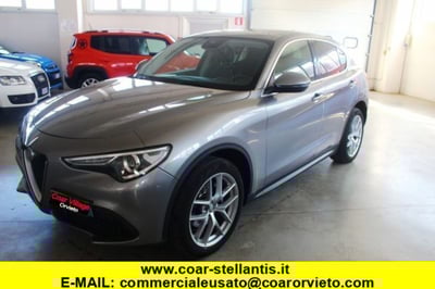 Alfa Romeo Stelvio Stelvio 2.0 Turbo 280 CV AT8 Q4 First Edition del 2017 usata a Orvieto