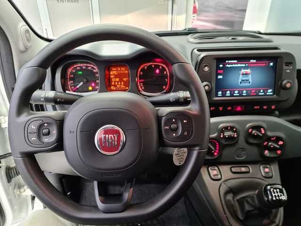 Fiat Panda Cross usata a Brescia (11)