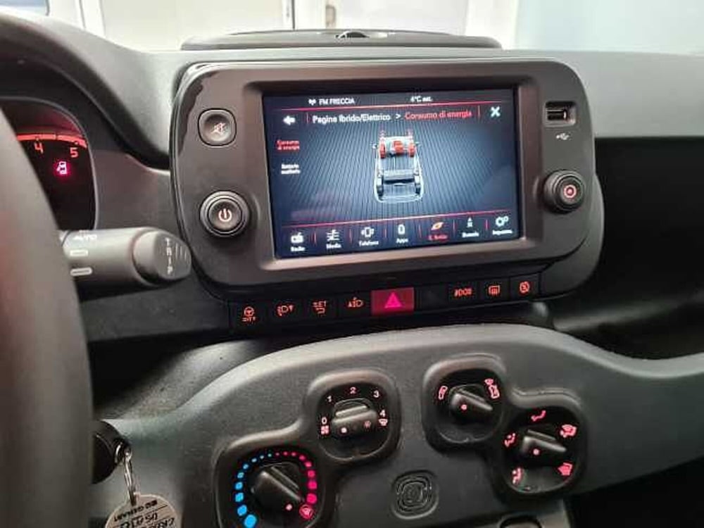 Fiat Panda Cross usata a Brescia (12)