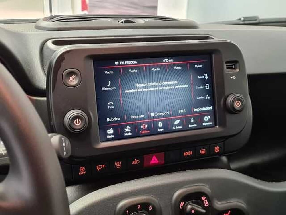 Fiat Panda Cross usata a Brescia (13)