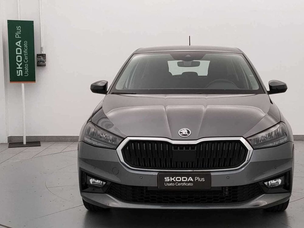 Skoda Fabia usata a Varese (2)
