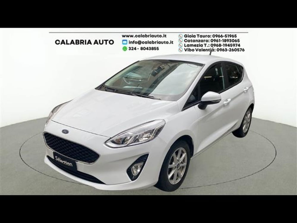 Ford Fiesta usata a Reggio Calabria