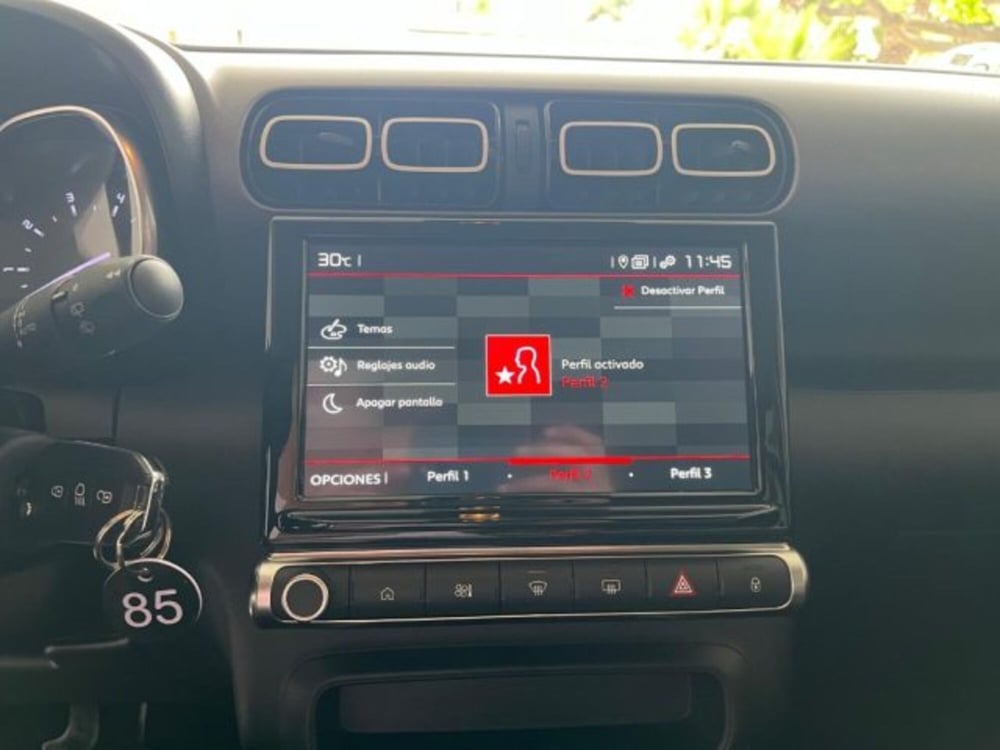 Citroen C3 Aircross usata a Trapani (13)