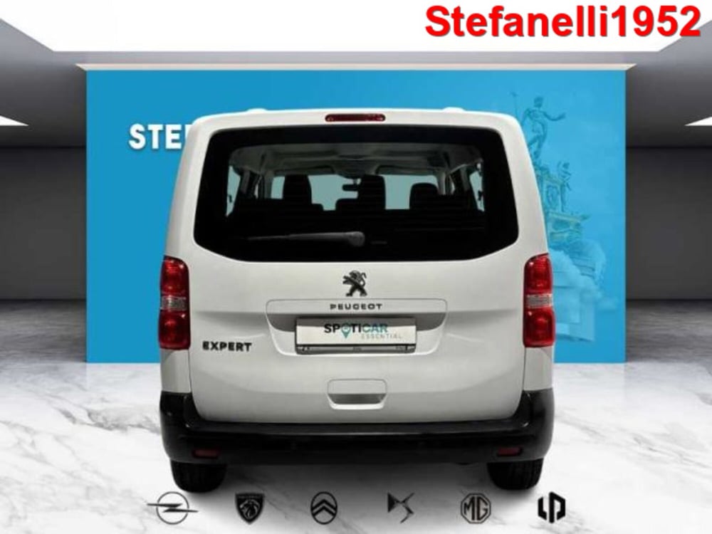 Peugeot Expert Furgone usata a Bologna (6)