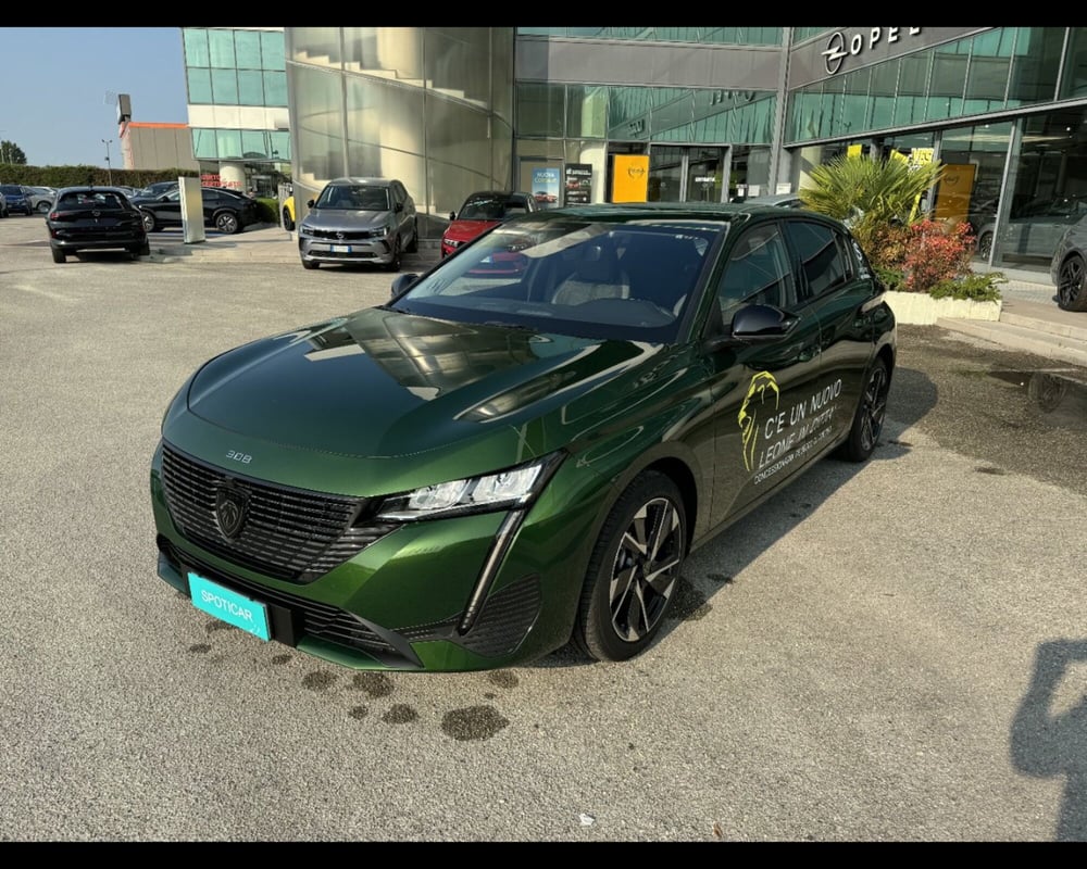 Peugeot 308 usata a Treviso (14)
