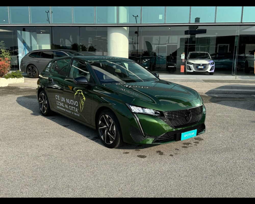Peugeot 308 usata a Treviso (20)