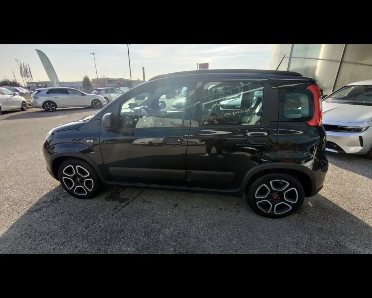 Fiat Panda usata a Treviso (11)