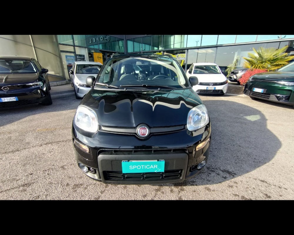 Fiat Panda usata a Treviso (5)