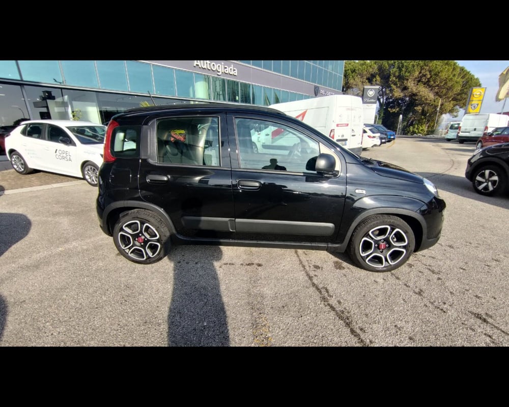 Fiat Panda usata a Treviso (7)