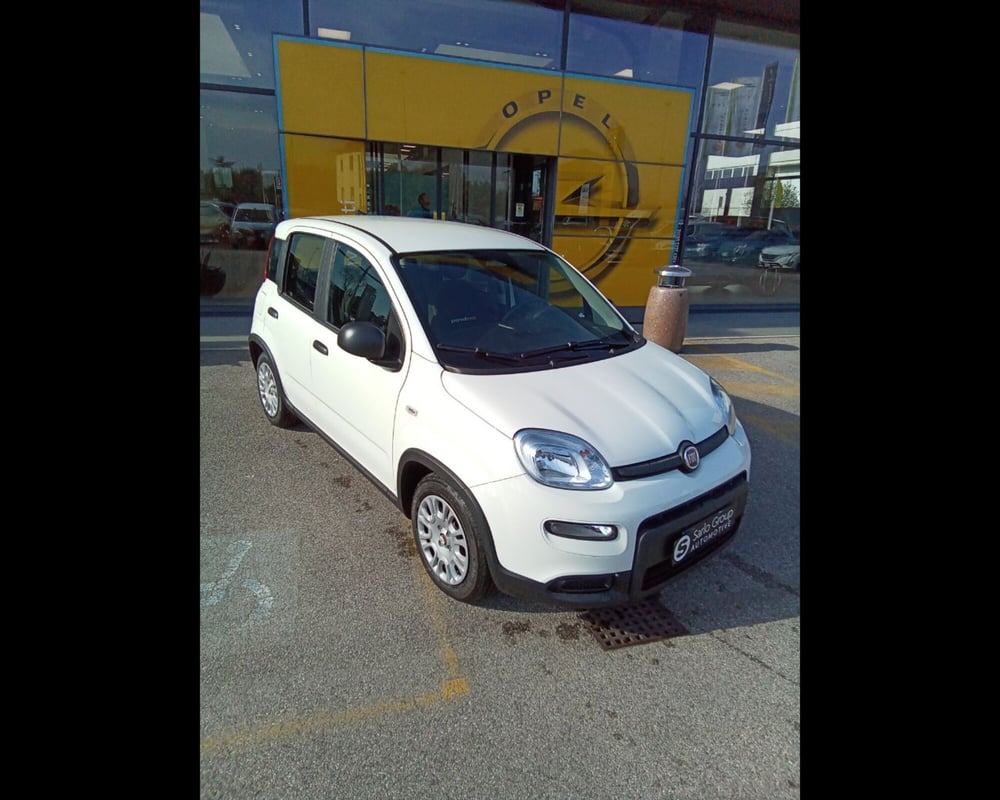 Fiat Panda Cross usata a Treviso (4)