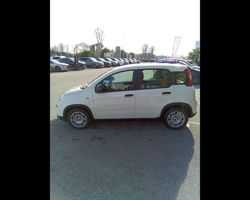 Fiat Panda Cross usata a Treviso (8)