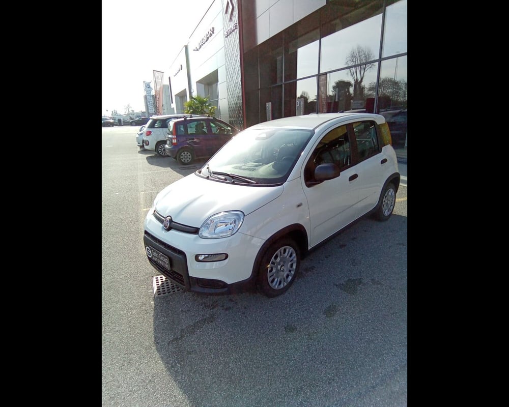 Fiat Panda Cross usata a Treviso (9)