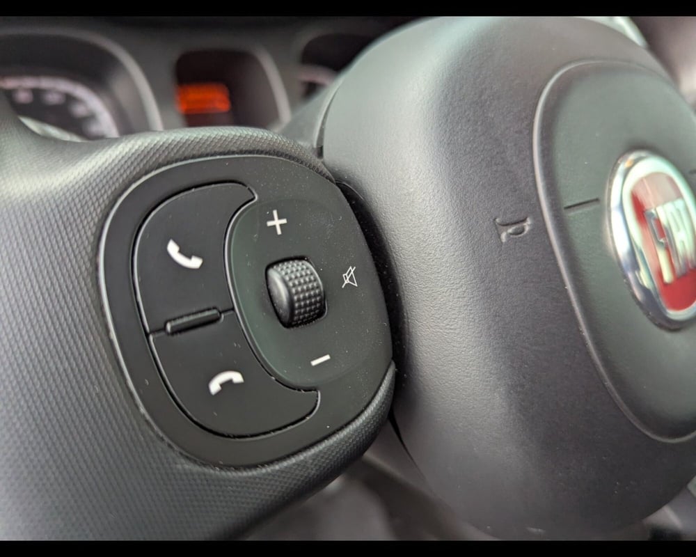 Fiat Panda Cross usata a Treviso (8)