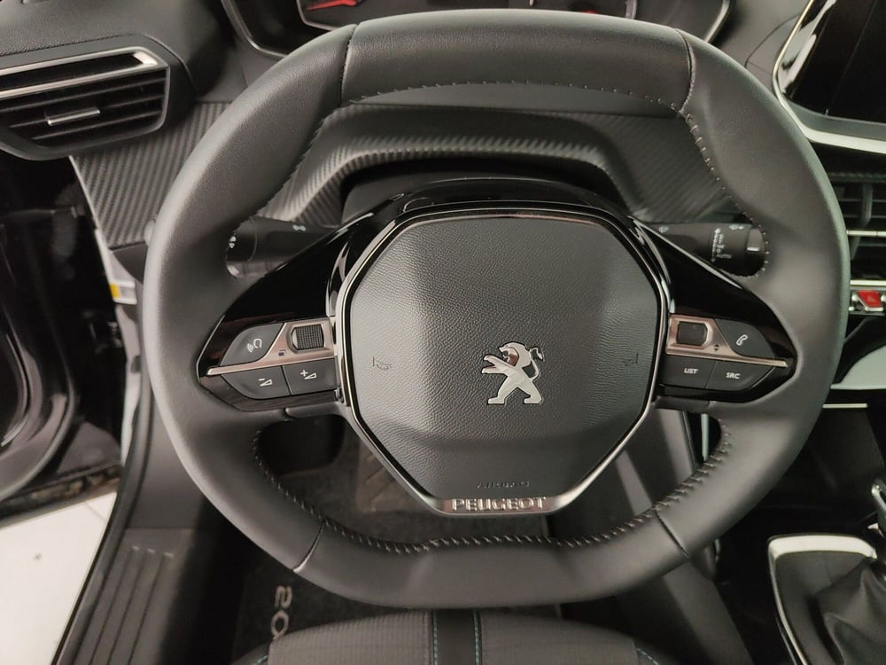 Peugeot 2008 usata a Caserta (19)
