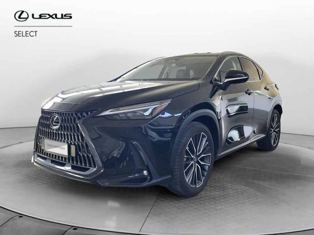Lexus NX usata a Treviso