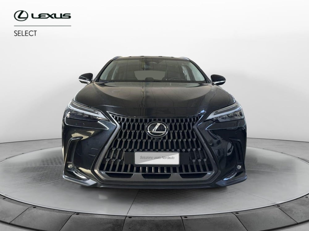 Lexus NX usata a Treviso (2)