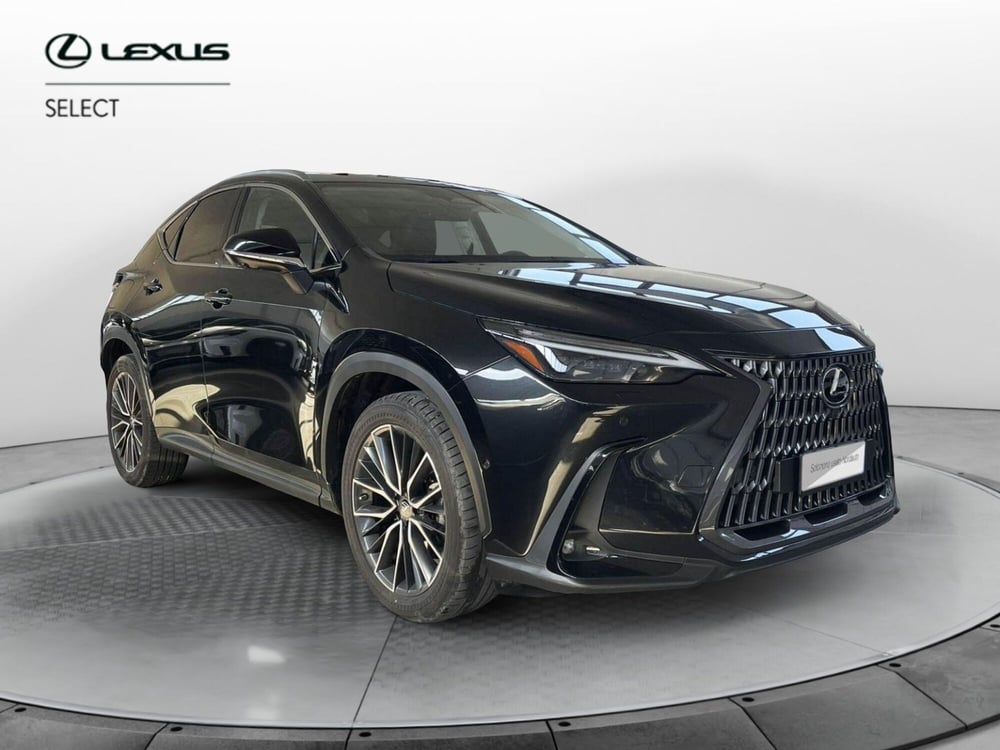 Lexus NX usata a Treviso (3)