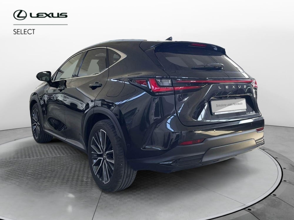 Lexus NX usata a Treviso (7)