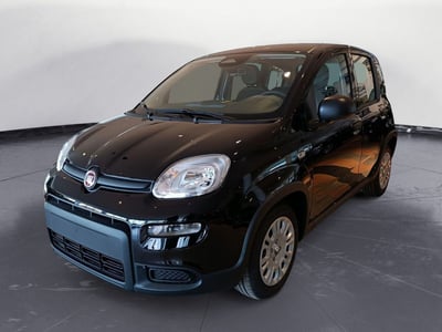 Fiat Panda Cross Cross 1.0 FireFly S&amp;S Hybrid nuova a Gazzaniga