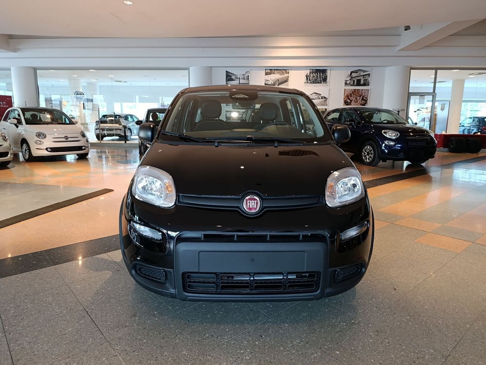 Fiat Panda Cross nuova a Bergamo (2)