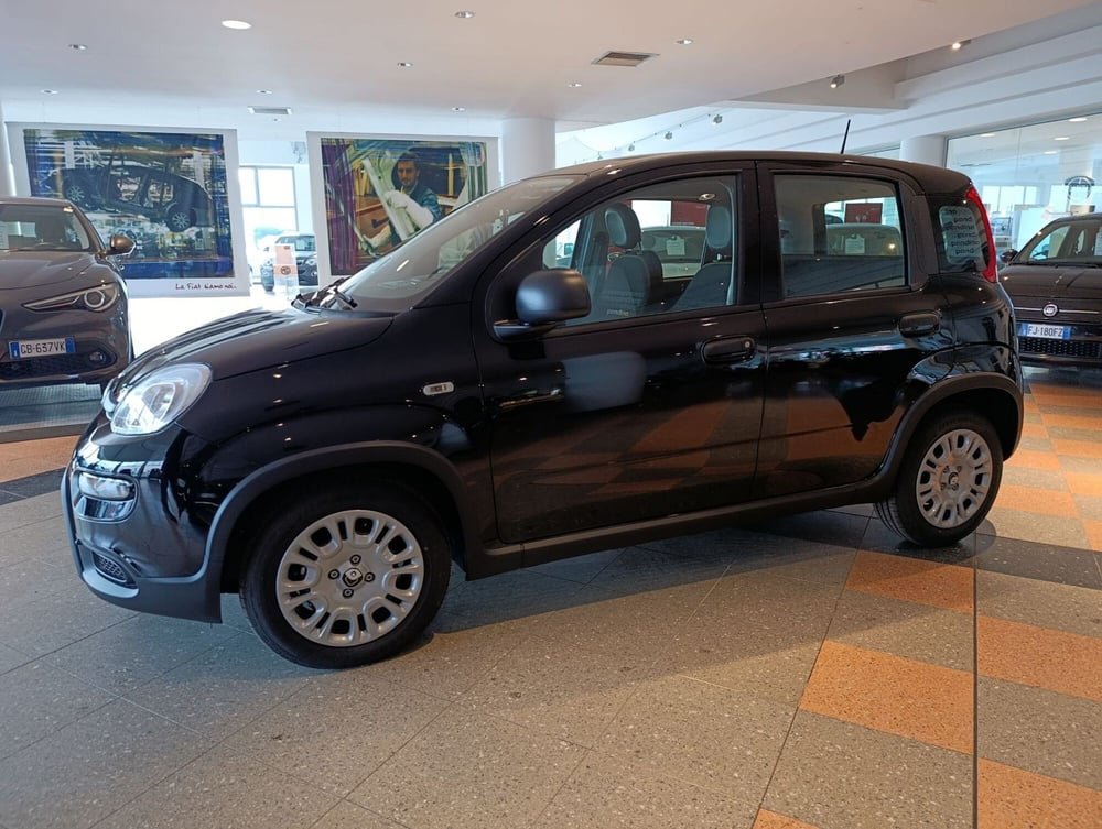 Fiat Panda Cross nuova a Bergamo (3)