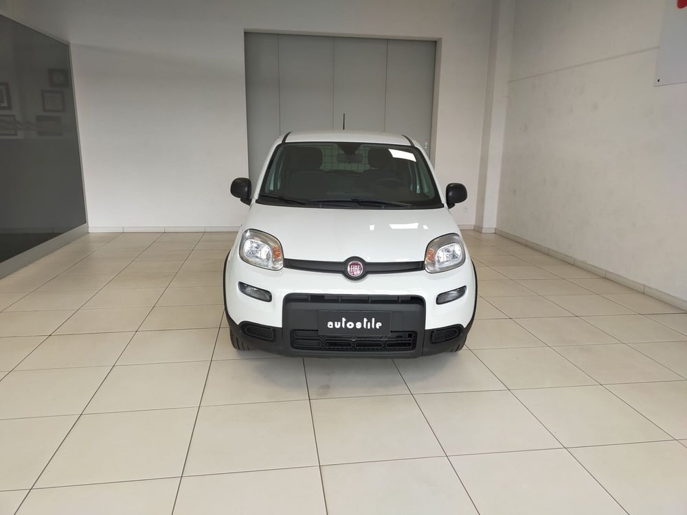 Fiat Panda nuova a Reggio Emilia (2)