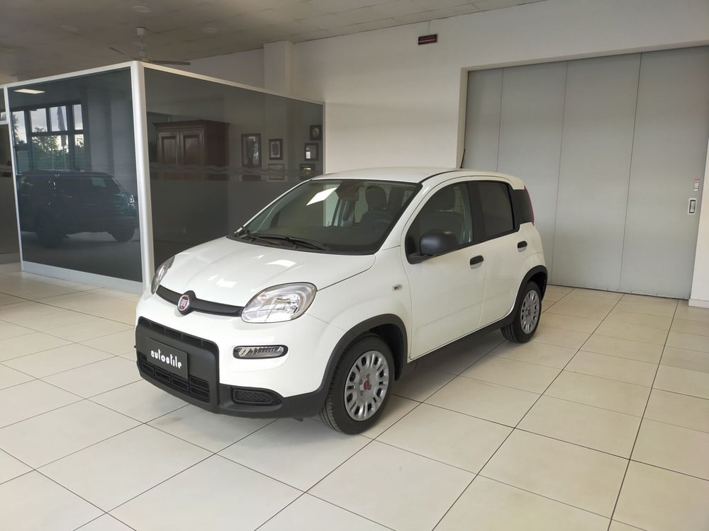 Fiat Panda nuova a Reggio Emilia (3)